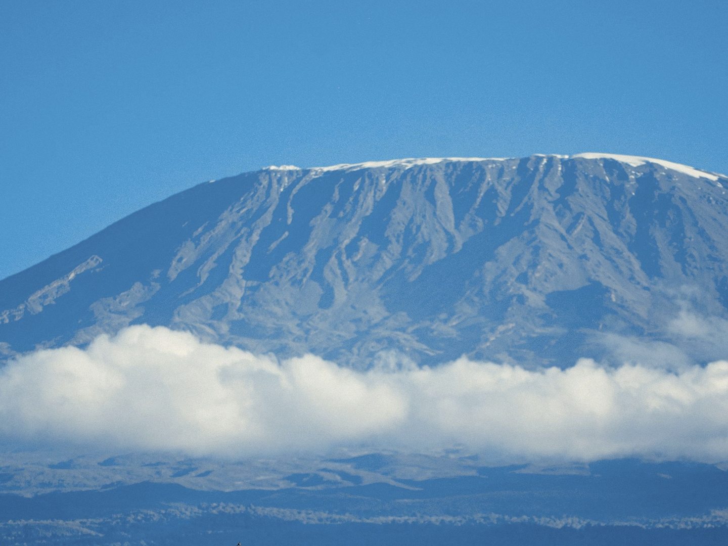 Kibo, Kilimanjaro's snow-capped summit plateau, rising above a band of white cloud under a clear blue sky